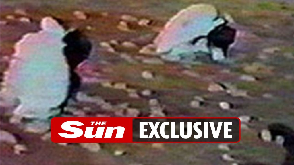 51 Women executed by stoning